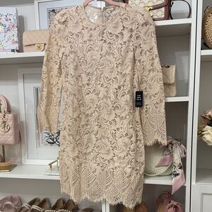Expres Lace Dress in Cream